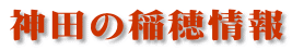 神田の稲穂情報